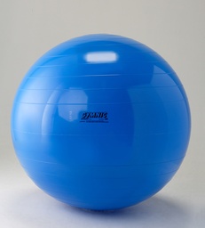 [95.65] GYMNIC-Gymnastikball (Blau, 65cm)