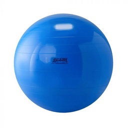[95.95] GYMNIC Exercise Ball (Blue, 95cm)