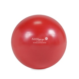 [RME525502] FITNESS BALL REHABMEDIC exercise balls (Red, 55cm)