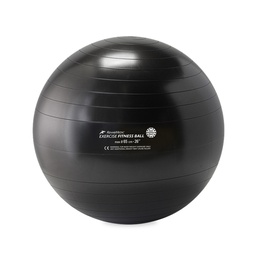 [RME526505] FITNESS BALL REHABMEDIC exercise balls (Black, 65cm)