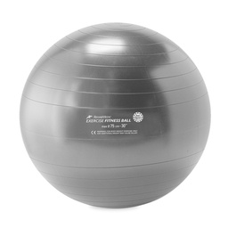 [RME527506] FITNESS BALL REHABMEDIC exercise balls (Silver, 75cm)