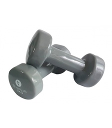 [SV1183] SVELTUS Epoxid-Hanteln (Grau, 18 cm, 3 kg)