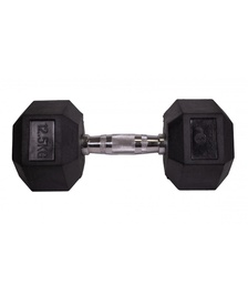 [SV1203] SVELTUS Hexagonal Dumbbell (12,5Kg)
